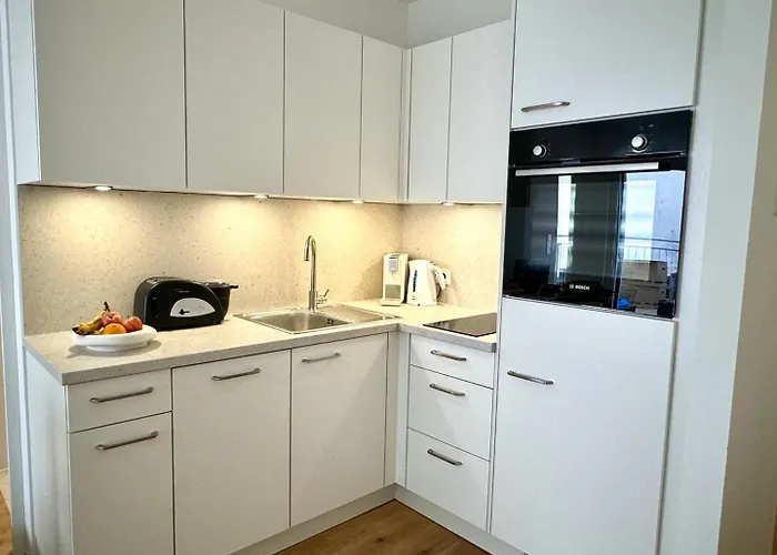 Apartment Stilvolle Premium-wohnung Mit Klimaanlage Und Dachterrasse Vienna